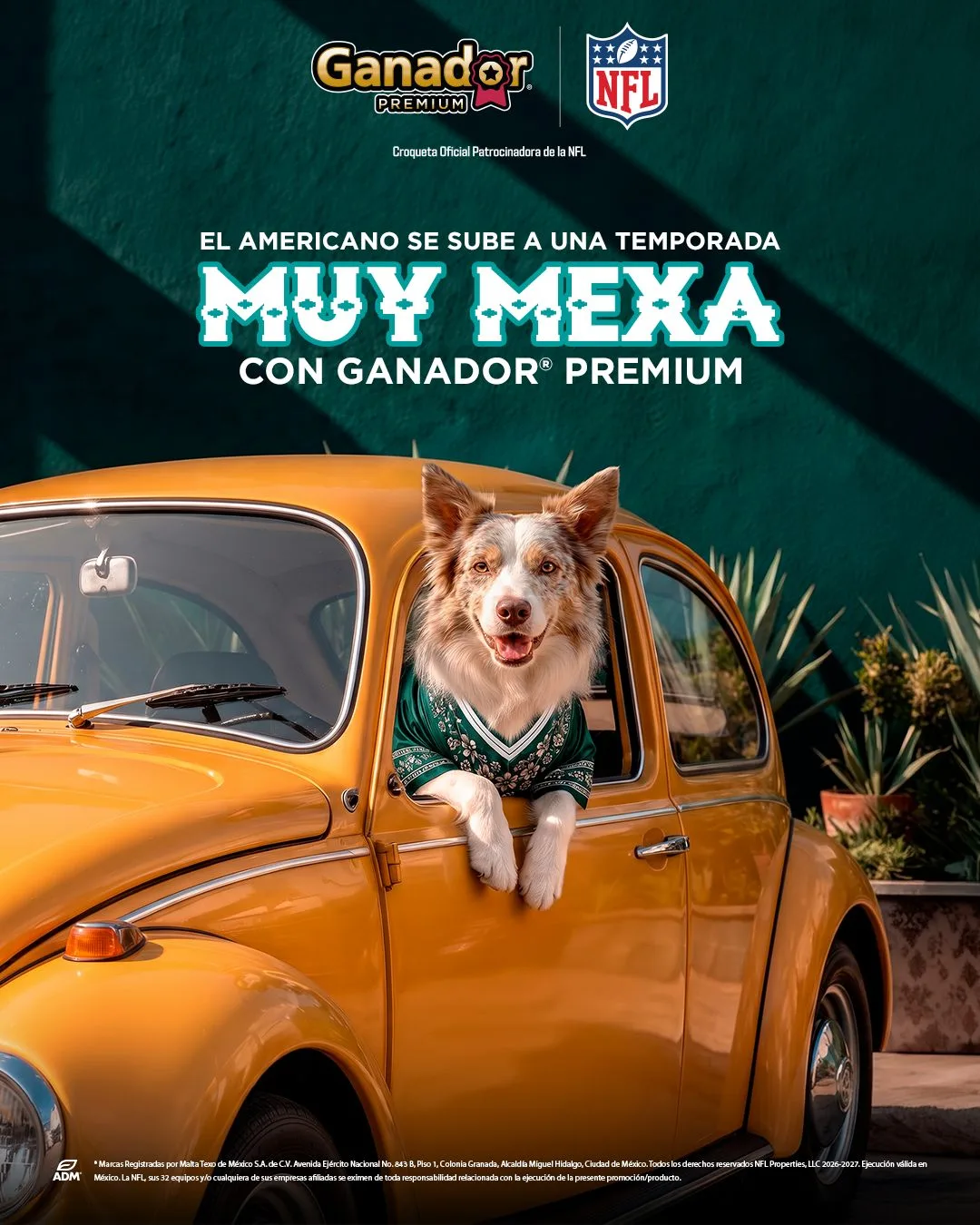 Post Ganador Premium × NFL: «Muy mexa», un perro con jersey asomado por la ventana de un vocho