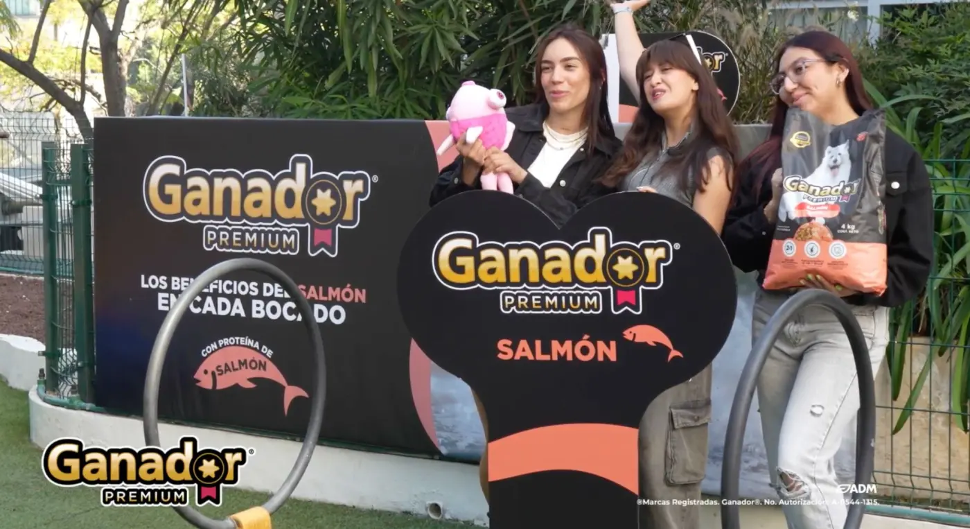 Ganador Salmón 2025: Lanzamiento con creadores, perros y comunidad; UGC en TikTok Ads en el Top 3 de la categoría.