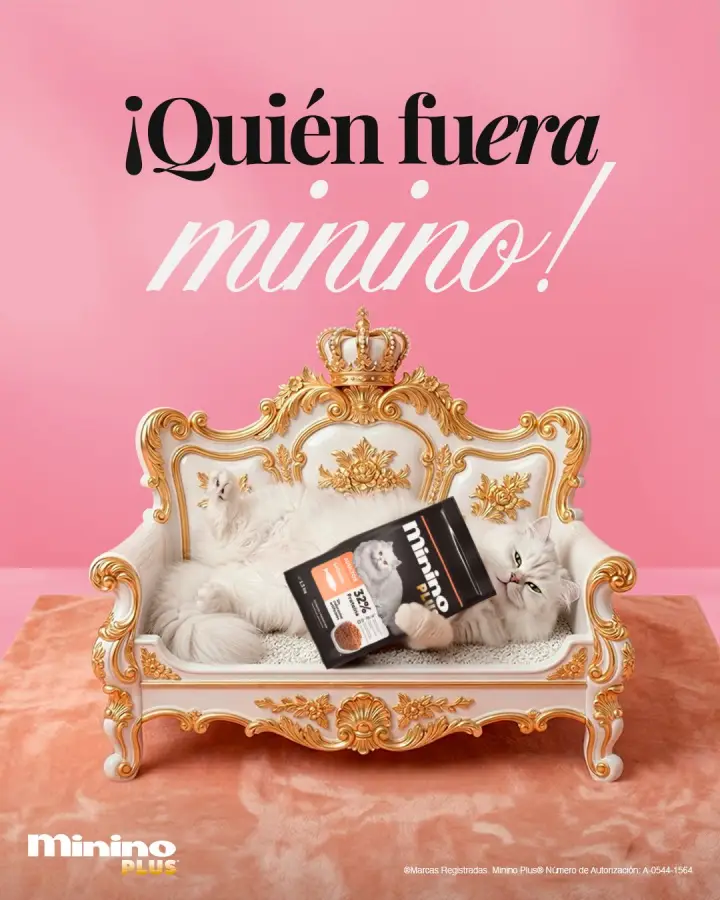 Minino: La marca con mayor engagement rate de su categoría, con campañas como "¡Quién fuera minino!".